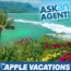 Today Vacation BG got a contract with Apple Vacations